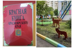 Локация "Животные Красной книги Красноярского края" Локация "Животные Красной книги Красноярского края".