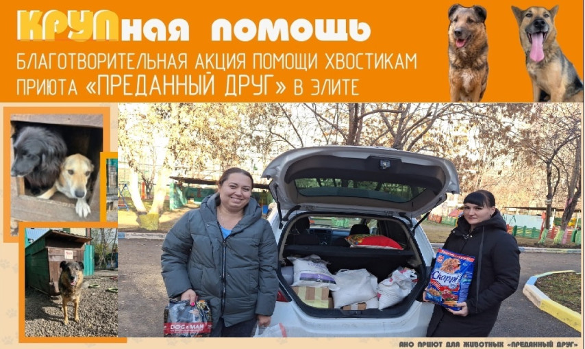 Благотворительная акция "КРУПная помощь" Благотворительная акция "КРУПная помощь".